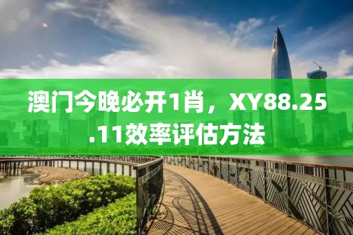 澳门今晚必开1肖，XY88.25.11效率评估方法