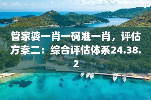 管家婆一肖一码准一肖，评估方案二：综合评估体系24.38.2