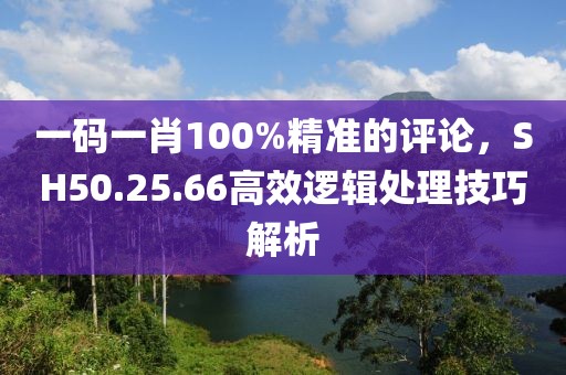 一码一肖100%精准的评论，SH50.25.66高效逻辑处理技巧解析