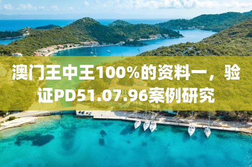 澳门王中王100%的资料一，验证PD51.07.96案例研究