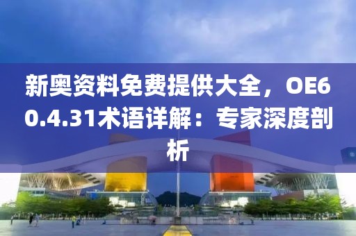 新奥资料免费提供大全，OE60.4.31术语详解：专家深度剖析