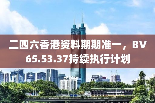 二四六香港资料期期准一，BV65.53.37持续执行计划