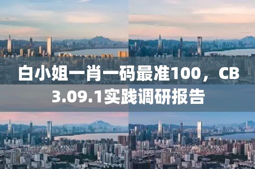 白小姐一肖一码最准100，CB3.09.1实践调研报告