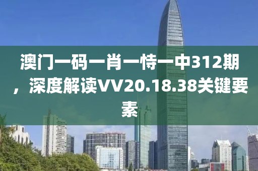 澳门一码一肖一恃一中312期，深度解读VV20.18.38关键要素