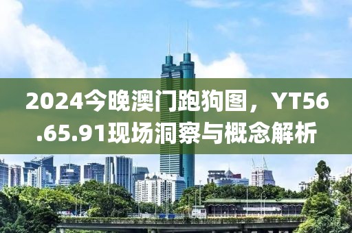 2024今晚澳门跑狗图，YT56.65.91现场洞察与概念解析