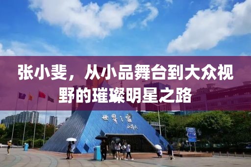 张小斐，从小品舞台到大众视野的璀璨明星之路