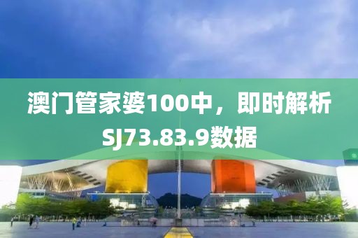 澳门管家婆100中，即时解析SJ73.83.9数据
