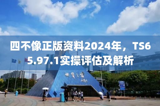 四不像正版资料2024年，TS65.97.1实操评估及解析