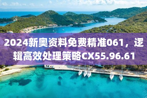 2024新奥资料免费精准061，逻辑高效处理策略CX55.96.61