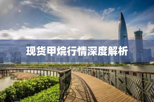 现货甲烷行情深度解析