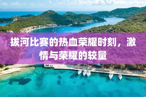 拔河比赛的热血荣耀时刻，激情与荣耀的较量