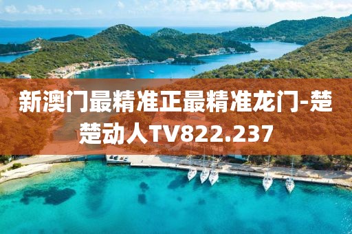 新澳门最精准正最精准龙门-楚楚动人TV822.237