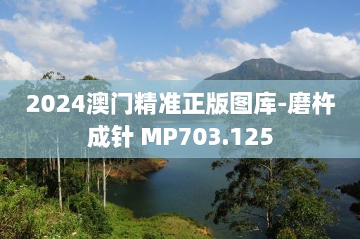 2024澳门精准正版图库-磨杵成针 MP703.125