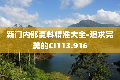 新门内部资料精准大全-追求完美的CI113.916