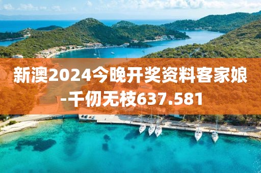 新澳2024今晚开奖资料客家娘-千仞无枝637.581