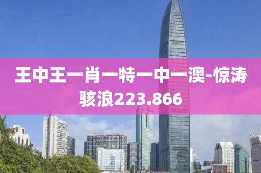 王中王一肖一特一中一澳-惊涛骇浪223.866