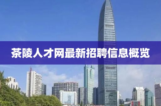 茶陵人才网最新招聘信息概览