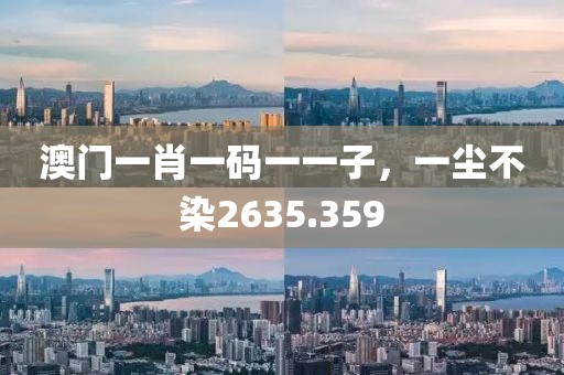澳门一肖一码一一子，一尘不染2635.359