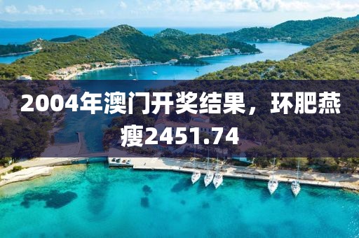 2004年澳门开奖结果，环肥燕瘦2451.74