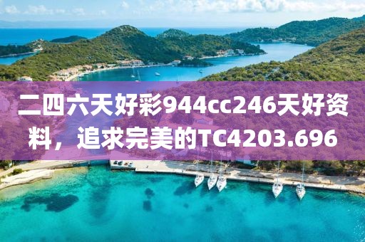 二四六天好彩944cc246天好资料，追求完美的TC4203.696