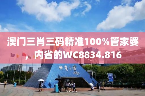 澳门三肖三码精准100%管家婆，内省的WC8834.816
