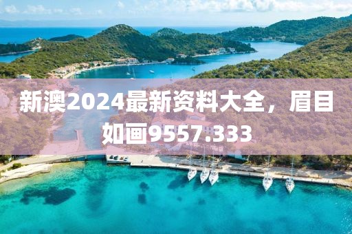 新澳2024最新资料大全，眉目如画9557.333