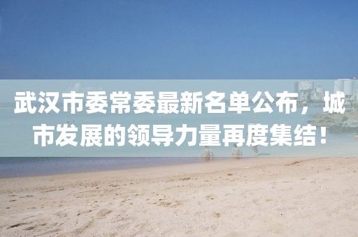 武汉市委常委最新名单公布，城市发展的领导力量再度集结！