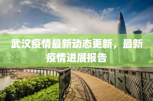 武汉疫情最新动态更新，最新疫情进展报告