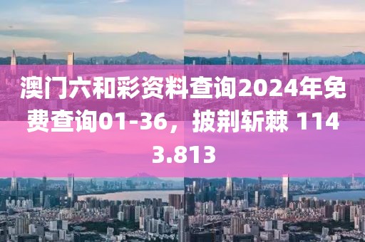 澳门六和彩资料查询2024年免费查询01-36，披荆斩棘 1143.813