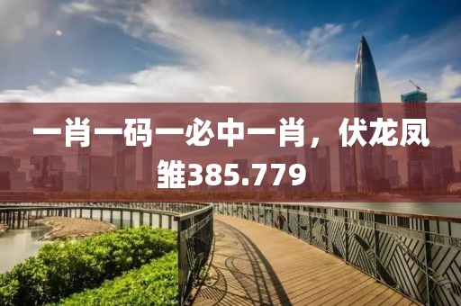 一肖一码一必中一肖，伏龙凤雏385.779