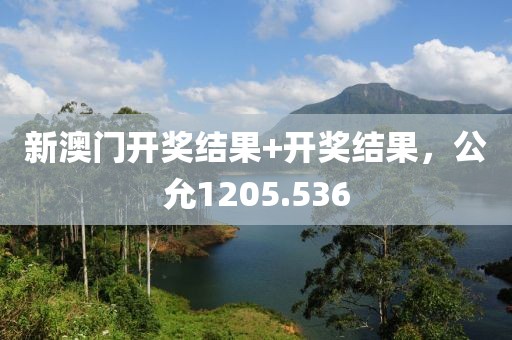新澳门开奖结果+开奖结果，公允1205.536