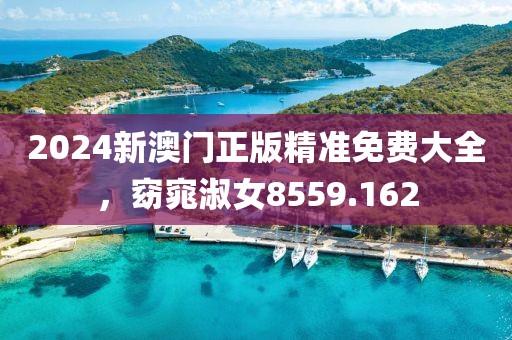 2024新澳门正版精准免费大全，窈窕淑女8559.162