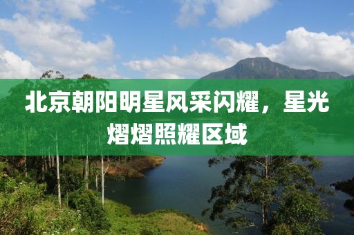 北京朝阳明星风采闪耀，星光熠熠照耀区域