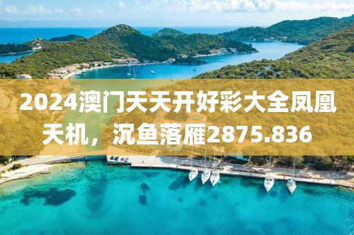 2024澳门天天开好彩大全凤凰天机，沉鱼落雁2875.836