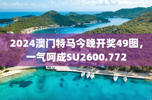 2024澳门特马今晚开奖49图，一气呵成SU2600.772