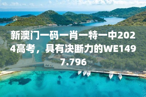 新澳门一码一肖一特一中2024高考，具有决断力的WE1497.796