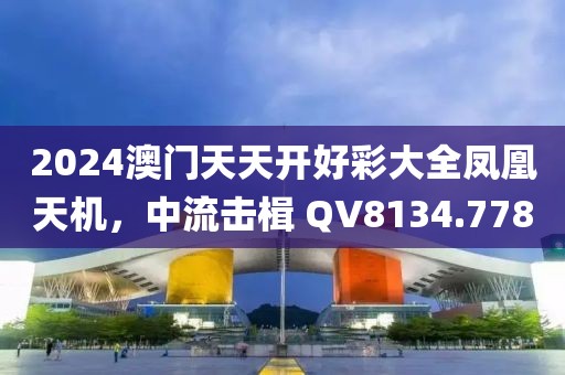 2024澳门天天开好彩大全凤凰天机，中流击楫 QV8134.778