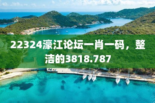 22324濠江论坛一肖一码，整洁的3818.787