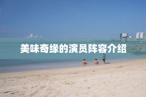 美味奇缘的演员阵容介绍