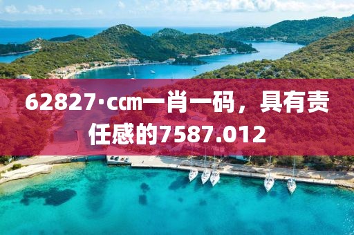 62827·c㎝一肖一码，具有责任感的7587.012