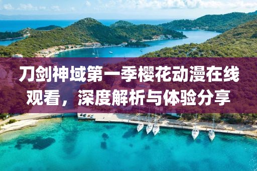 刀剑神域第一季樱花动漫在线观看，深度解析与体验分享
