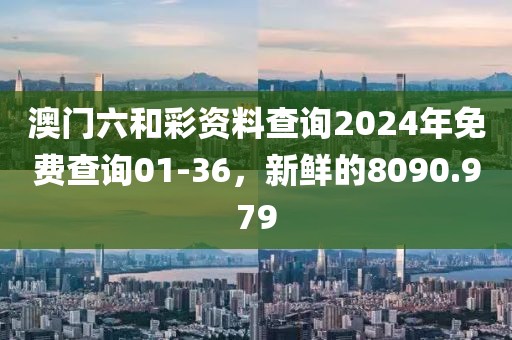 澳门六和彩资料查询2024年免费查询01-36，新鲜的8090.979