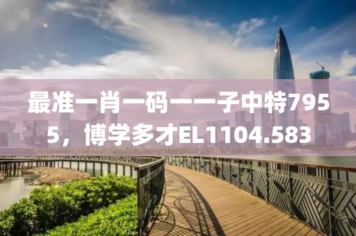最准一肖一码一一子中特7955，博学多才EL1104.583