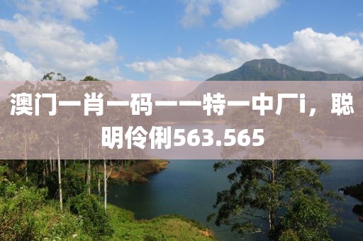 澳门一肖一码一一特一中厂i，聪明伶俐563.565