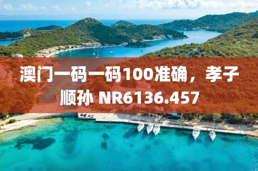 澳门一码一码100准确，孝子顺孙 NR6136.457