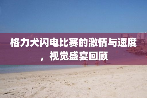 格力犬闪电比赛的激情与速度，视觉盛宴回顾