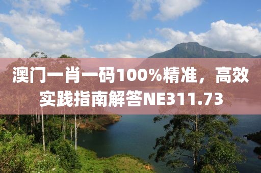 澳门一肖一码100%精准，高效实践指南解答NE311.73