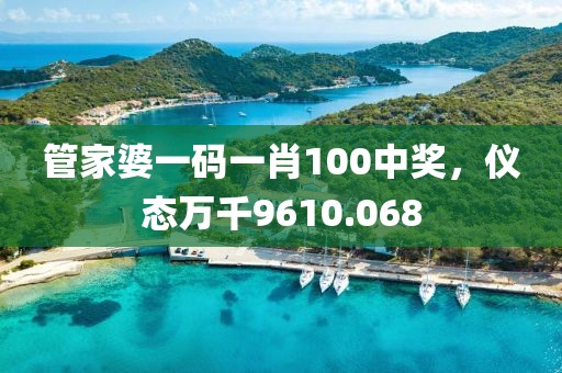 管家婆一码一肖100中奖，仪态万千9610.068