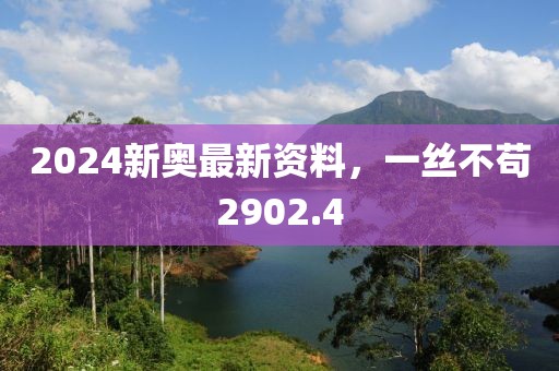 2024新奥最新资料，一丝不苟2902.4