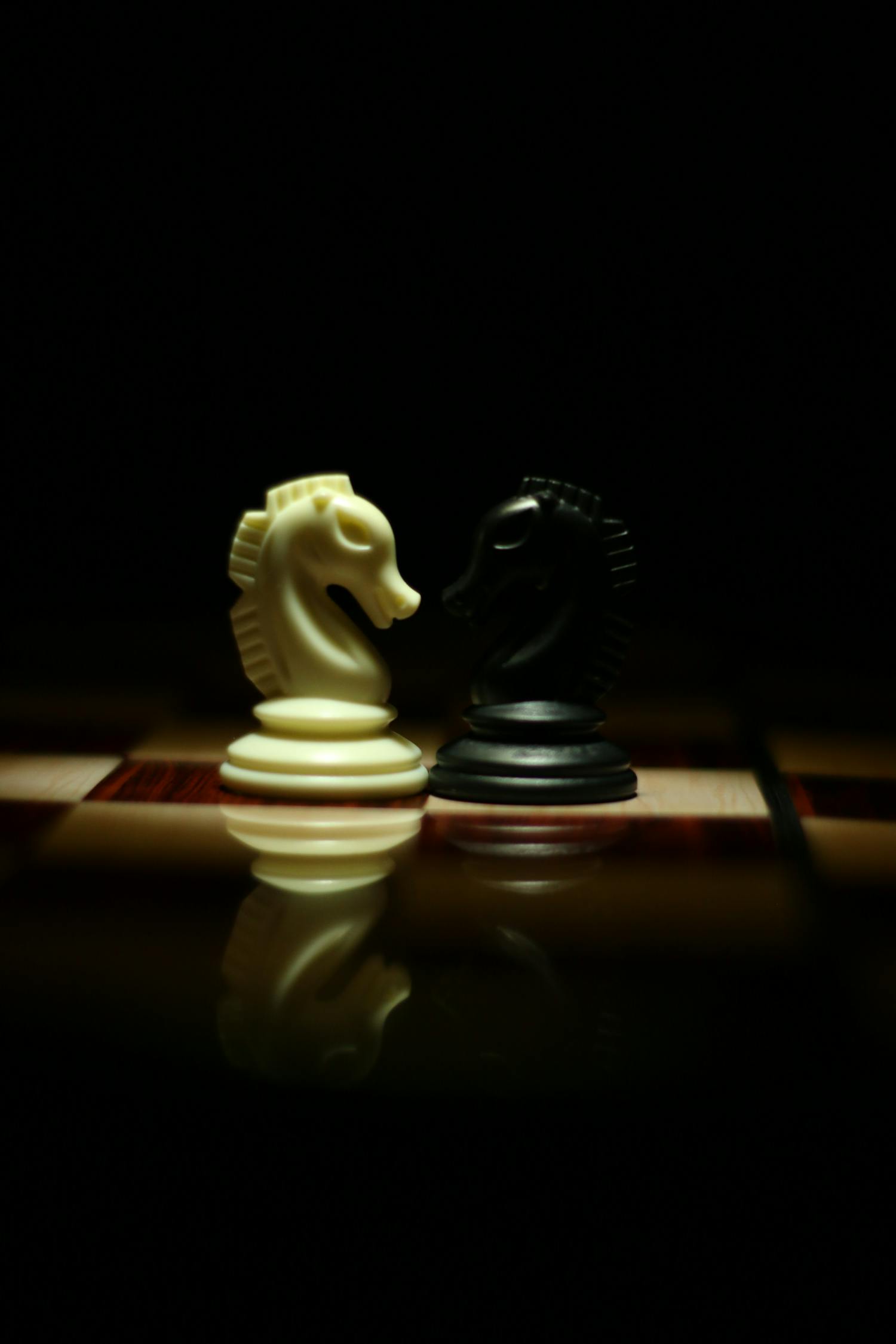 广州象棋比赛，传统智慧与现代技艺的较量之战